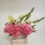 FP Pink Roses
