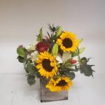 FP Sunflower Box